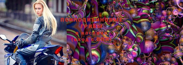 mix Горнозаводск