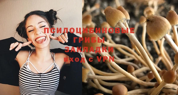 мяу мяу мука Горняк