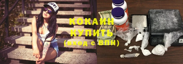 мяу мяу мука Горняк