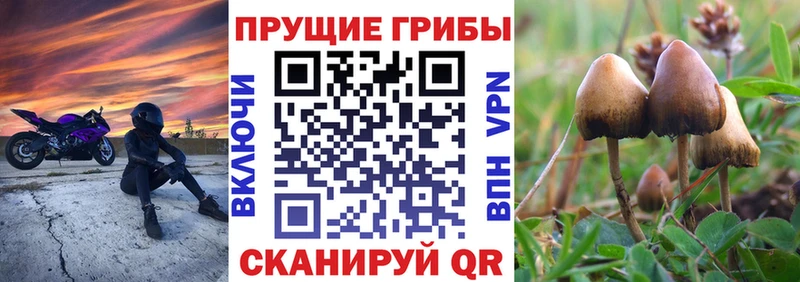 Псилоцибиновые грибы MAGIC MUSHROOMS  Купить  Кропоткин 